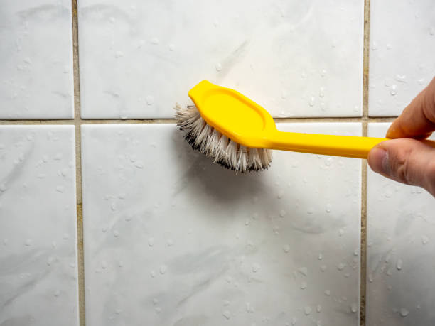 Best Professional Mold Removal  in Westwood Lakes, FL