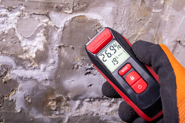 Best Mold Testing  in Westwood Lakes, FL