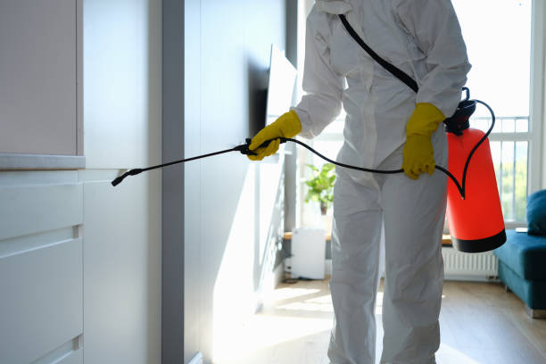 Mold Removal and Inspection in Westwood Lakes, FL