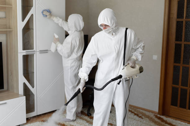 Mold Removal Process in Westwood Lakes, FL